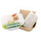Katzengras Pflanzset