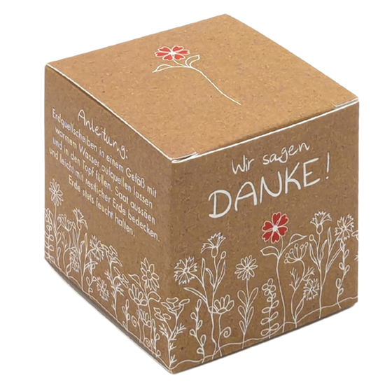 Würfel Samenpflanzset (klein)