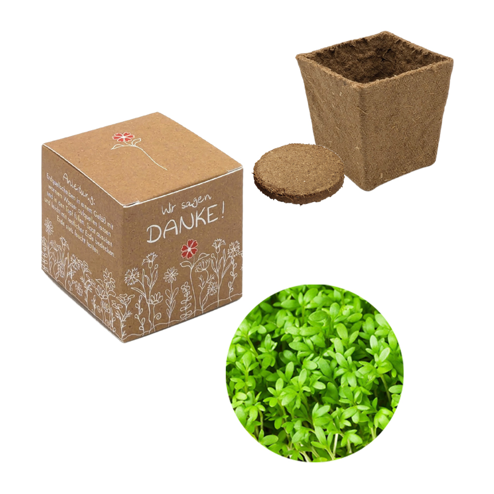 Würfel Samenpflanzset (klein)