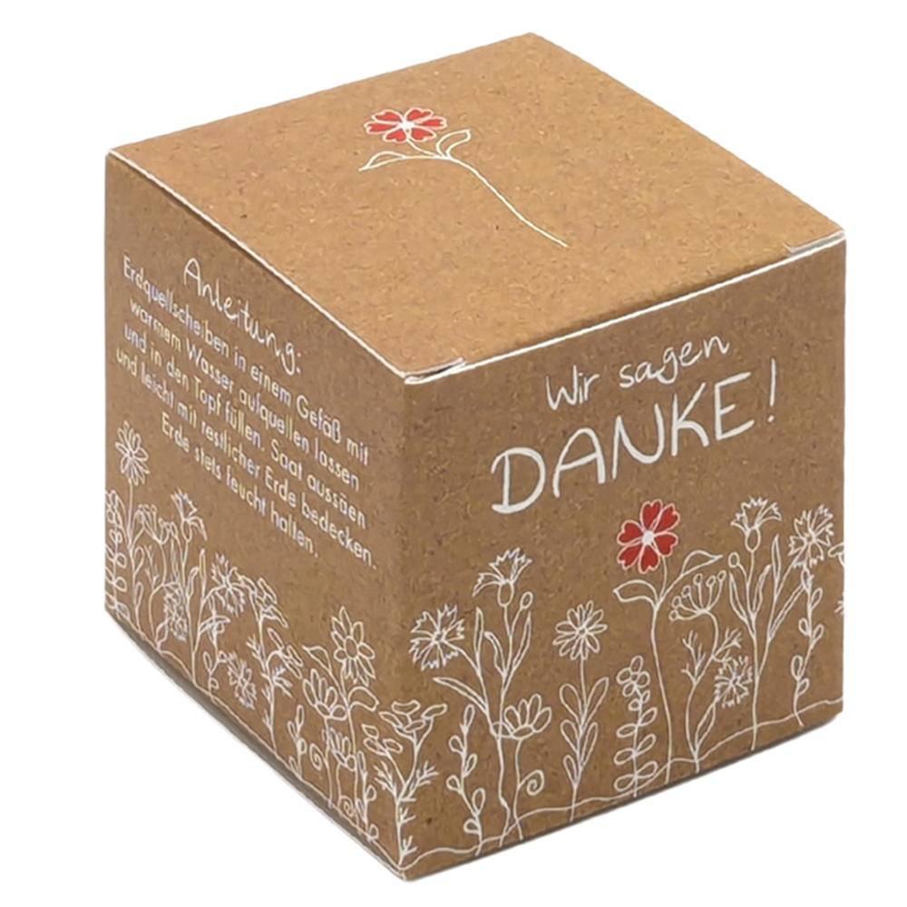 Würfel Samenpflanzset (klein)