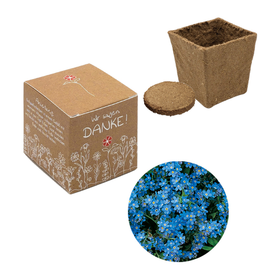 Würfel Samenpflanzset (klein)