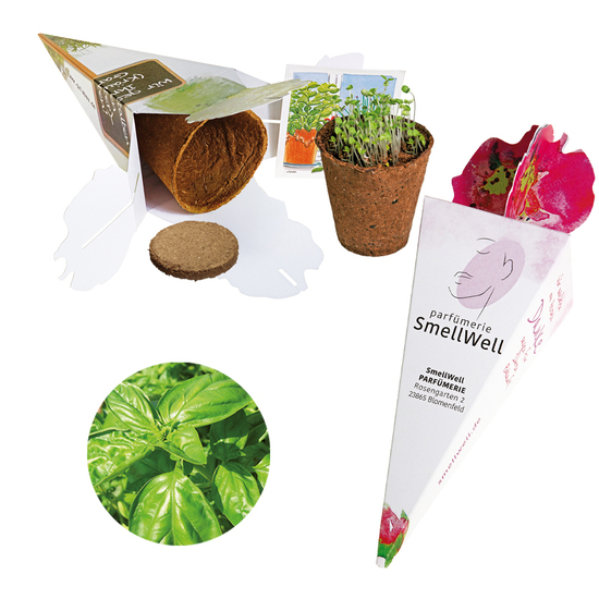 Zaubertüte - Samenset