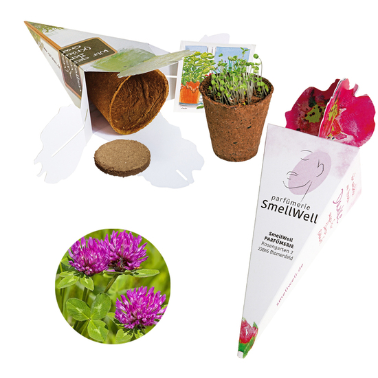 Zaubertüte - Samenset