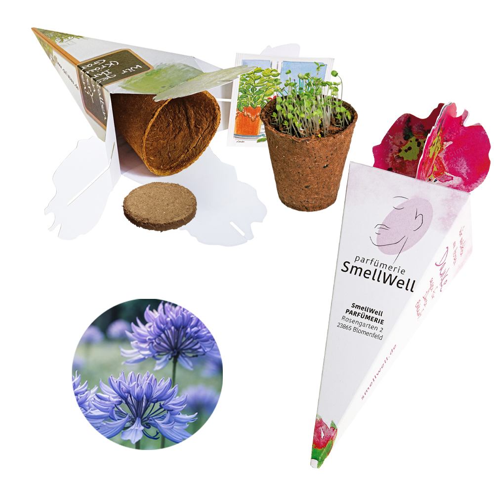 Zaubertüte - Samenset