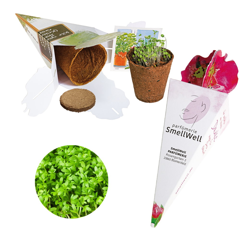 Zaubertüte - Samenset