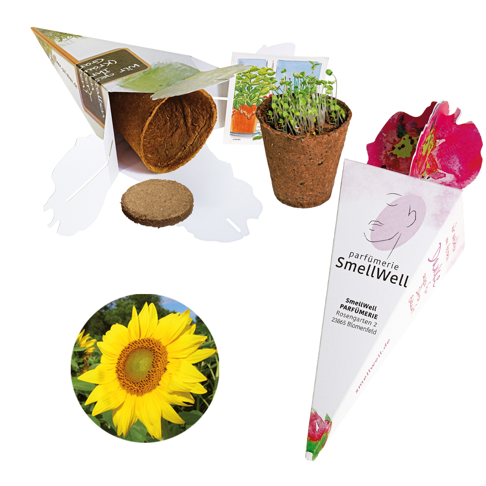 Zaubertüte - Samenset