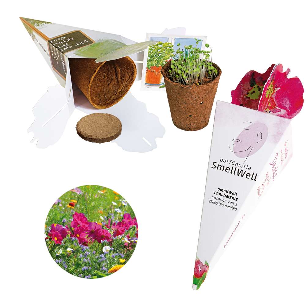 Zaubertüte - Samenset