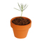 Tiny Tree - Samenset