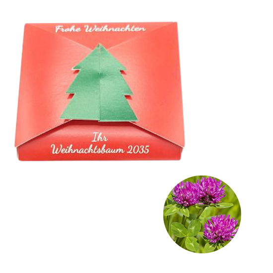 Verschluss - Samenkarte Tannenbaum