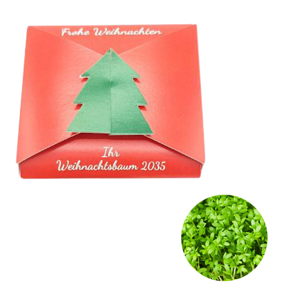 Verschluss - Samenkarte Tannenbaum