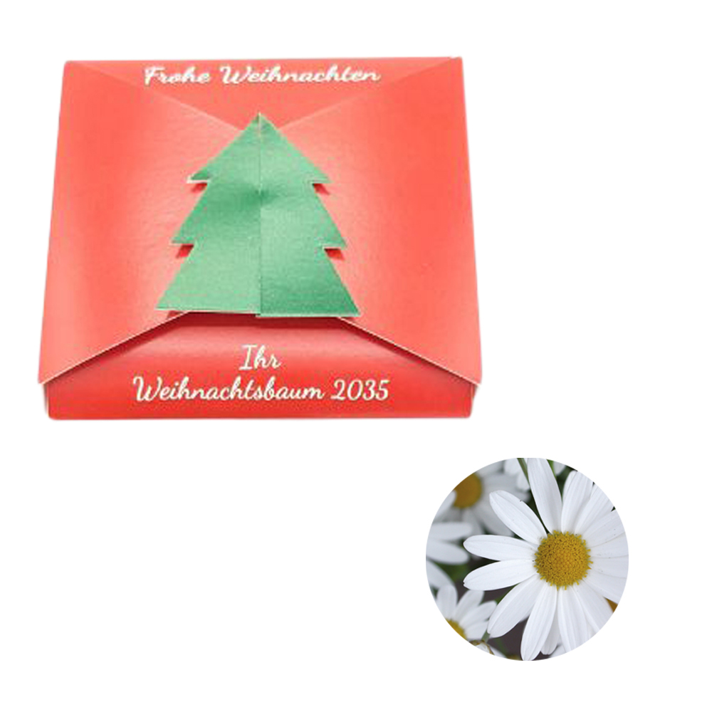 Verschluss - Samenkarte Tannenbaum