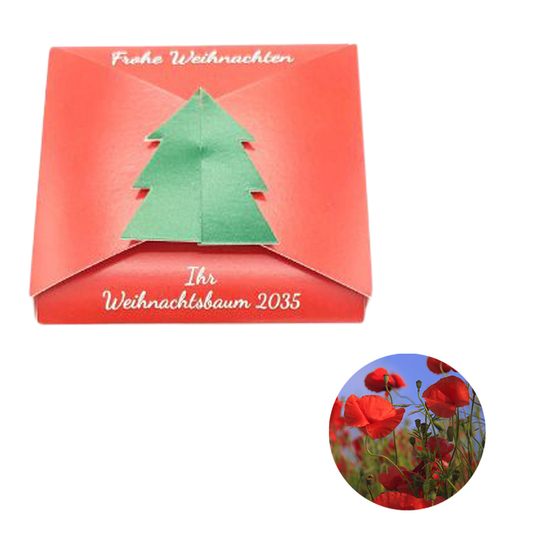 Verschluss - Samenkarte Tannenbaum