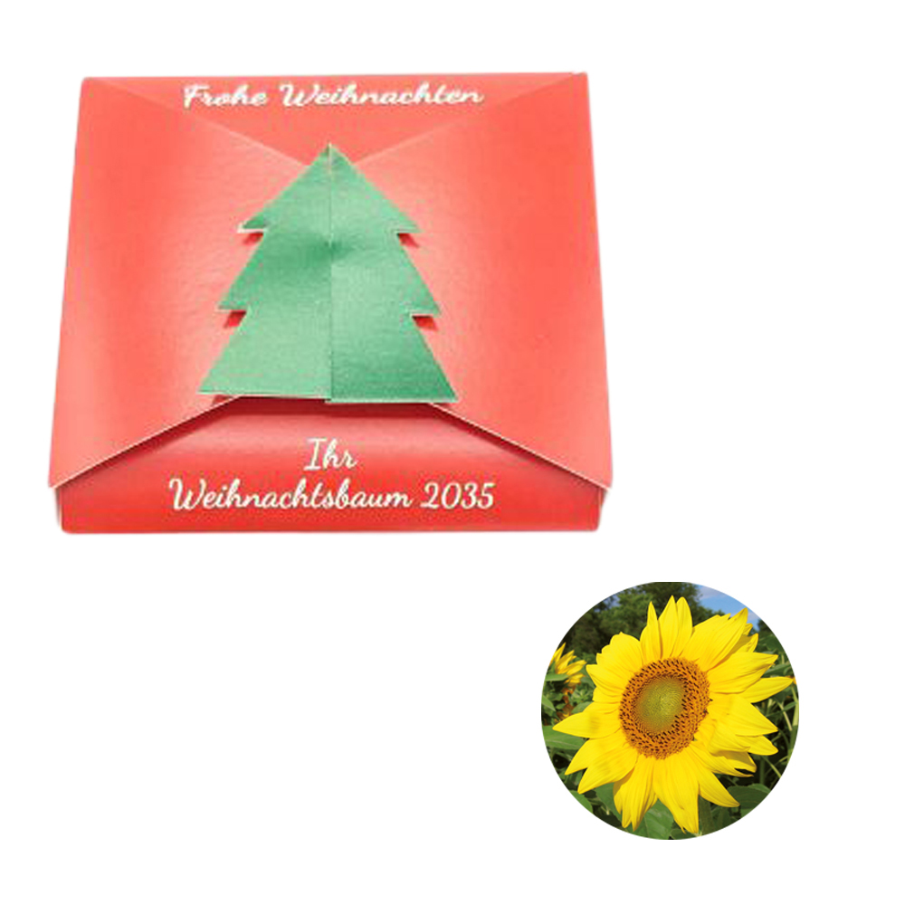 Verschluss - Samenkarte Tannenbaum