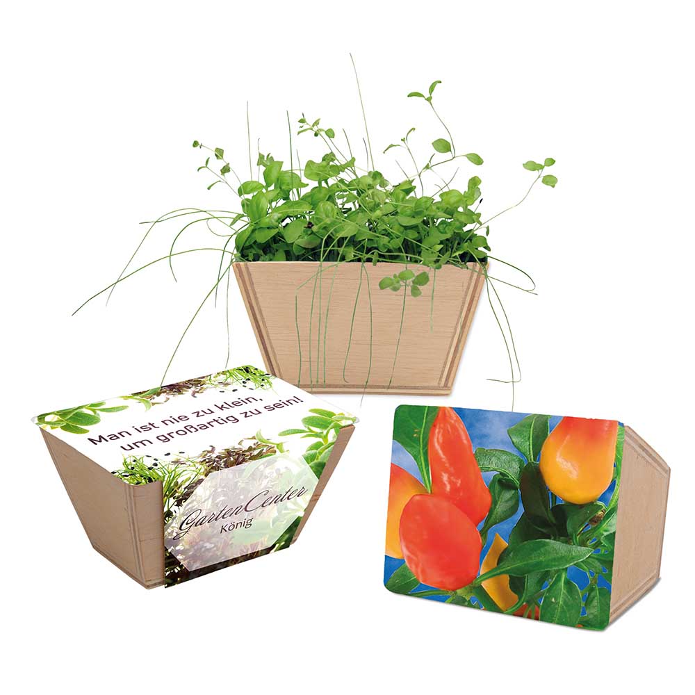 Mini-Beet mit Samen - Gewürzpaprika