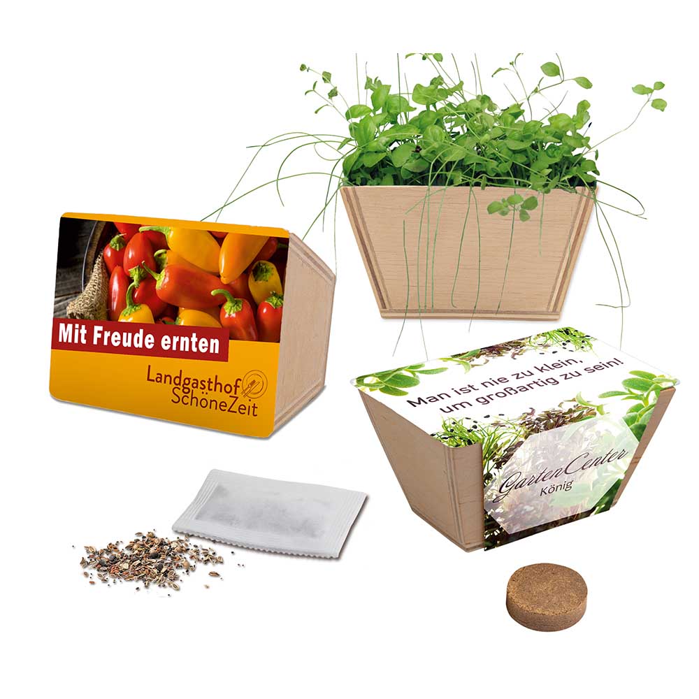 Mini-Beet mit Samen - Kräutermischung