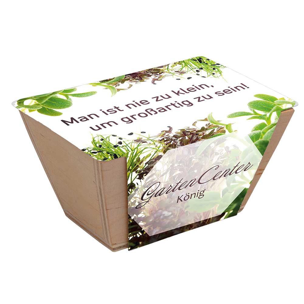 Mini-Beet mit Samen - Schnittlauch