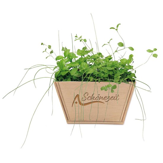 Mini-Beet mit Samen - Fichte, Lasergravur