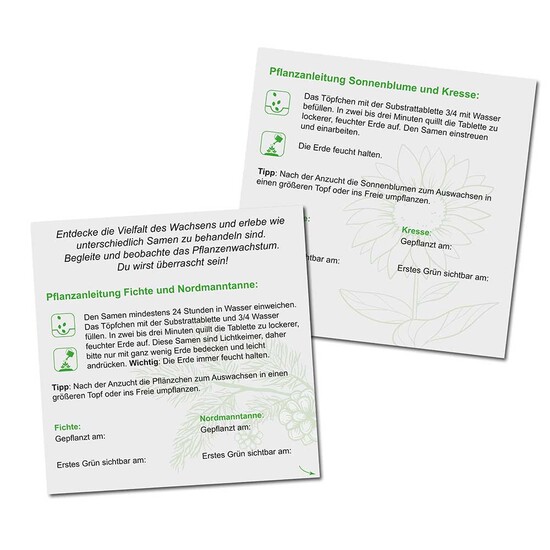 Pflanzen-Mix Winter-Set  - mit Digitaldruck