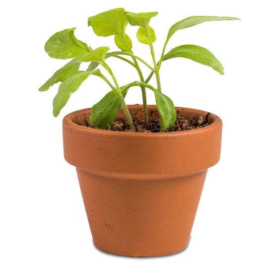 Das Gelbe vom Ei - mit Tontöpfchen und Eierkerze