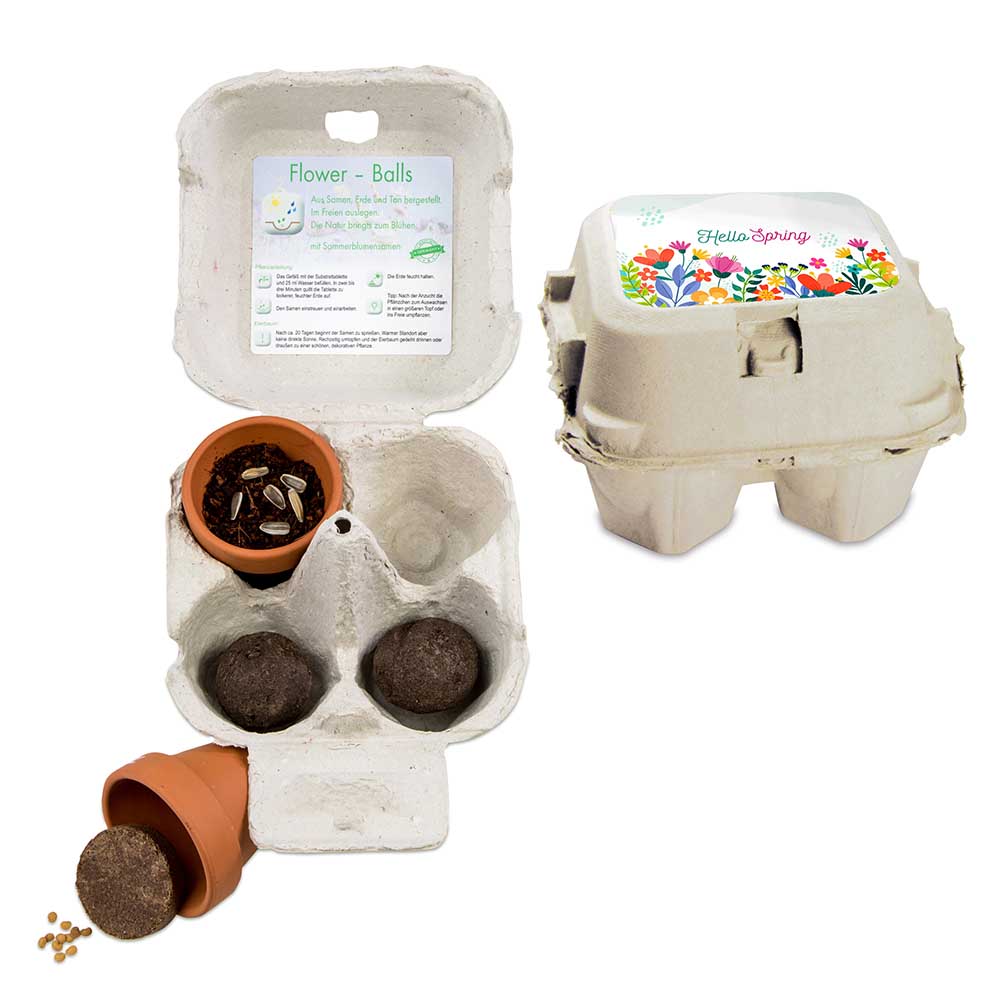 Das Grüne vom Ei - Green-Mix Box - Sonnenblume