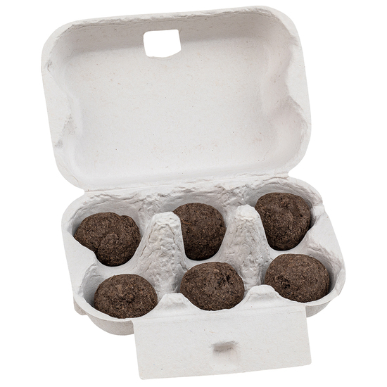 Sixpack - Flower-Balls Midi mit Samen