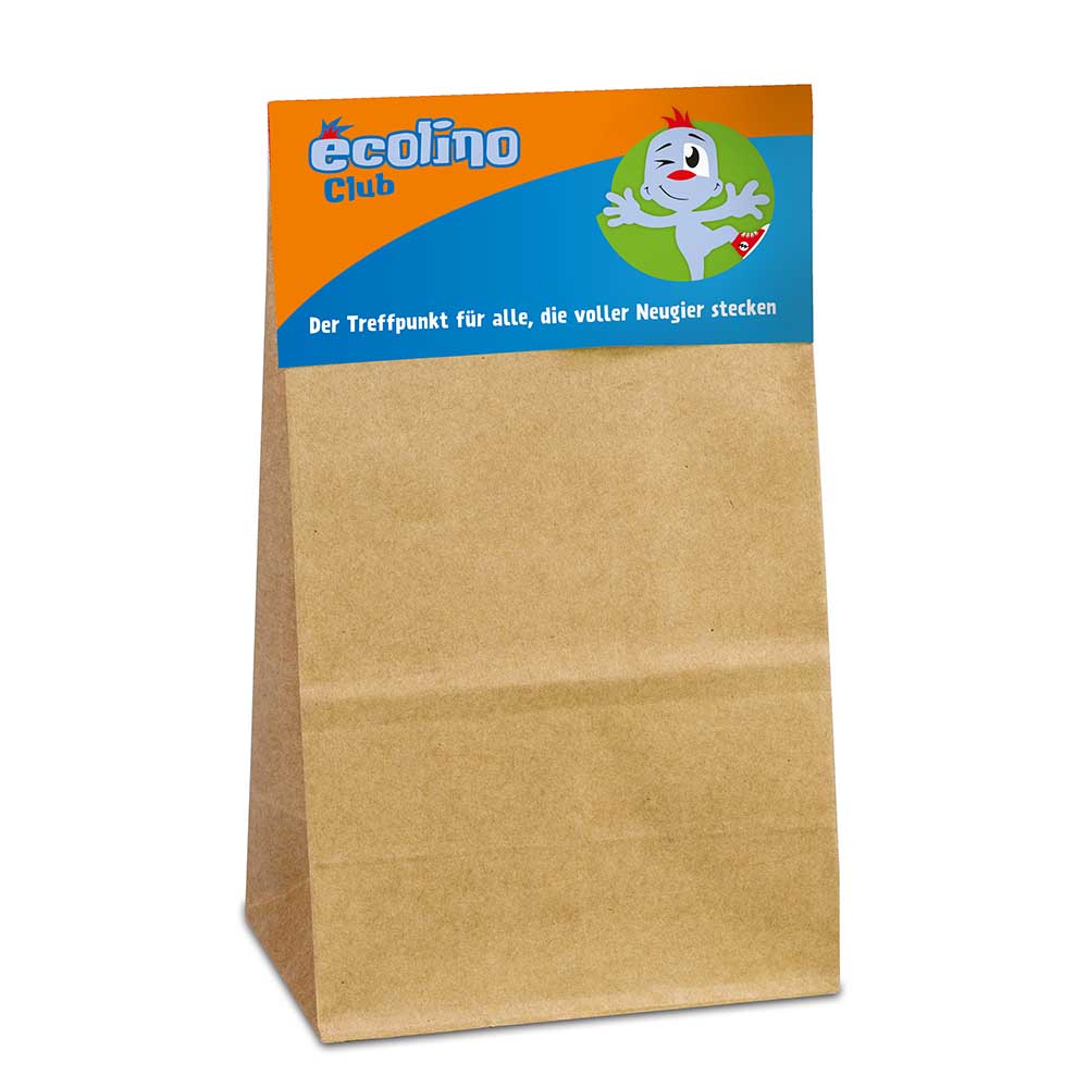 Insektenhäuschen - mit Lasergravur