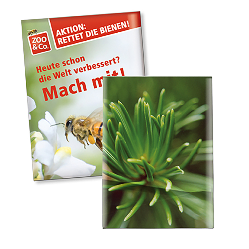 Samentütchen Klein