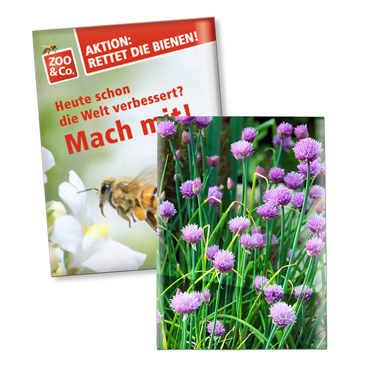Samentütchen Klein