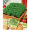 Samentütchen Klein