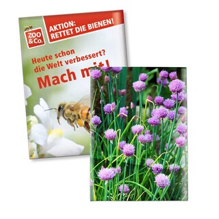 Samentütchen Klein - Standardpapier - Schnittlauch