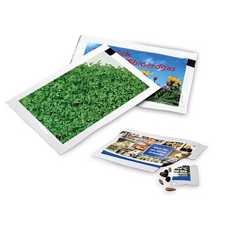 Samen-Briefchen - Gartenkresse