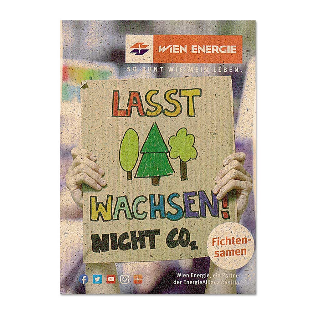 Samentütchen Klein - Graspapier - Fichte