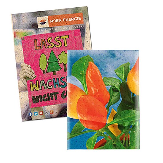 Samentütchen Klein - Graspapier - Gewürzpaprika