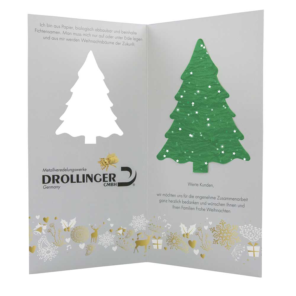 Samenpapier-Karte Fichte - Fichte 4/0-c