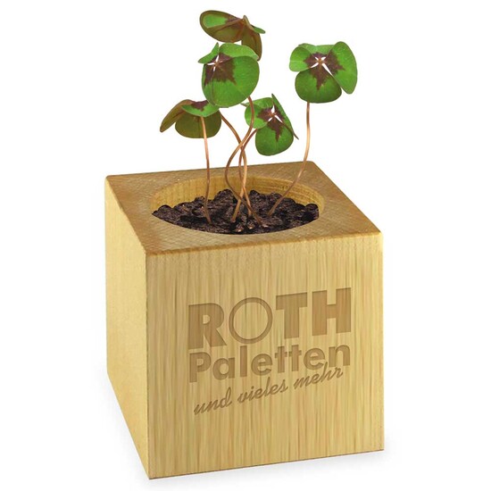 Pflanz-Holz - Standardmotiv - Glücksklee - ohne Lasergravur (* Je nach Verfügbarkeit der Glücksklee-Zwiebeln)