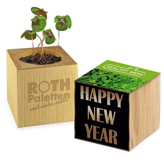 Pflanz-Holz Glücksklee - 2 Seiten gelasert  (* Je nach Verfügbarkeit der Glücksklee-Zwiebeln)