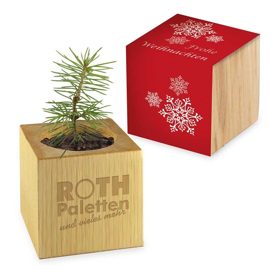Pflanz-Holz - Standardmotiv - Frohe Weihnachten ohne Lasergravur - ohne Lasergravur