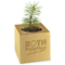 Pflanz-Holz Star-Box Xmas mit Fichtensamen