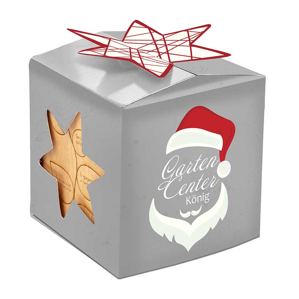 Pflanz-Holz Büro Star-Box Xmas mit Fichtensamen - Fichte