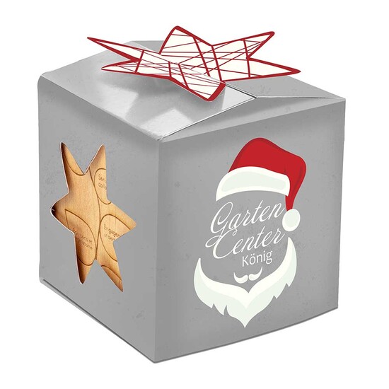 Pflanz-Holz Büro Star-Box Xmas mit Fichtensamen - Fichte