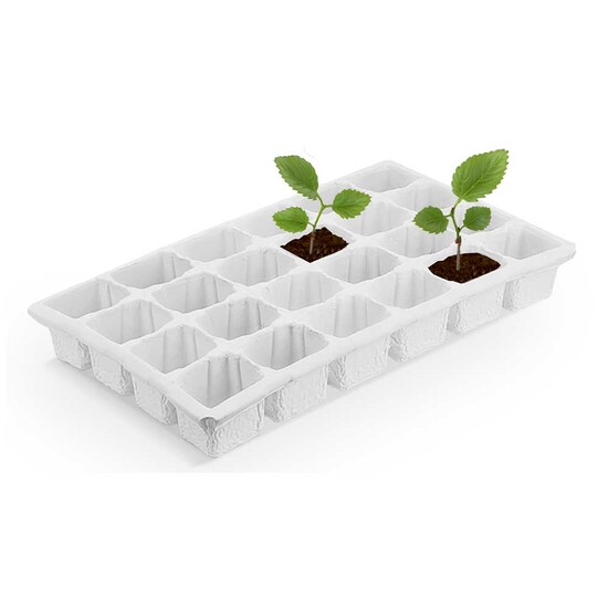 Wachsender Adventskalender - mit Digitaldruck