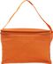 Kühltasche aus Non-Woven Arlene