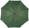 Automatik Stockschirm aus Polyester Kelly