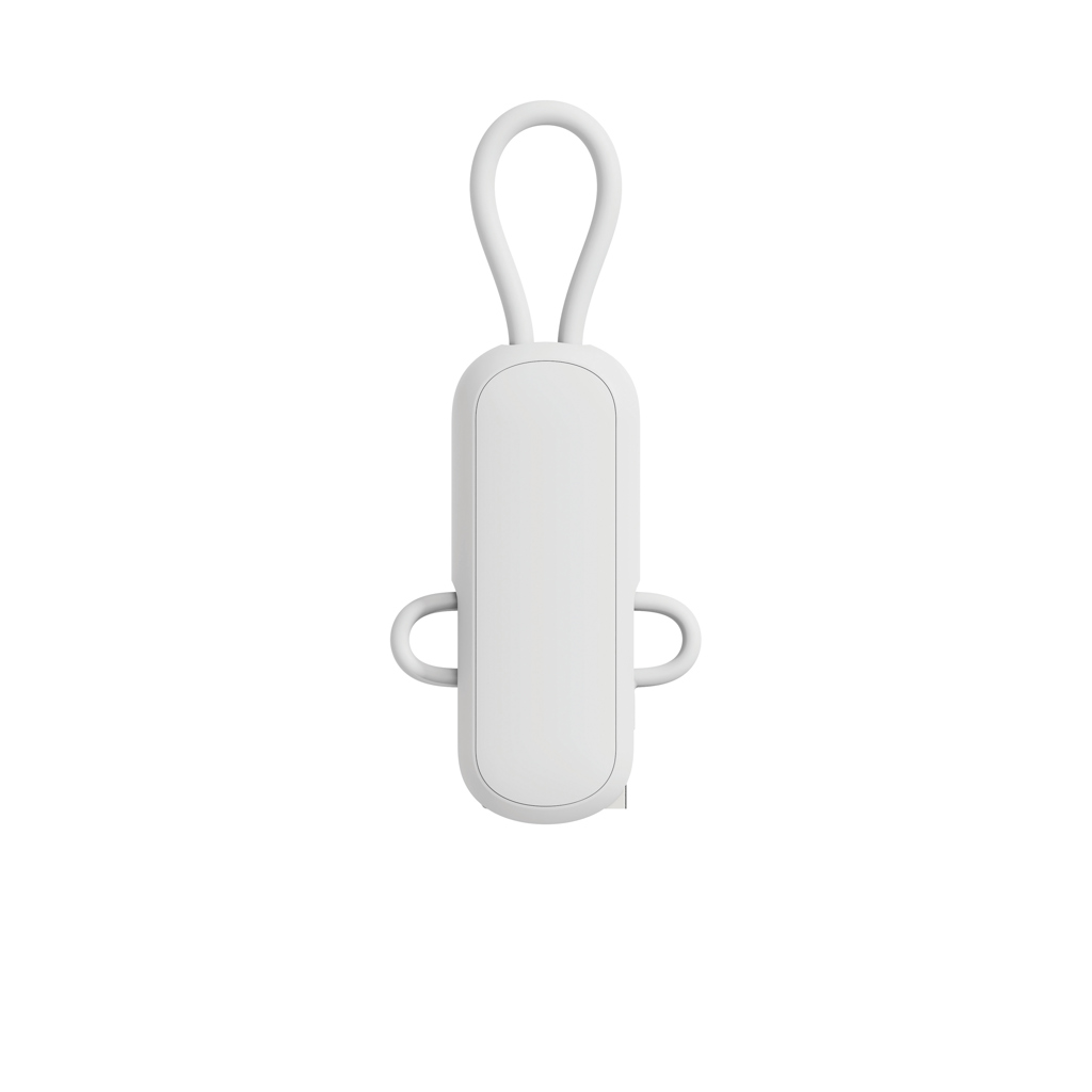 Urban Vitamin Dublin 100W 4-in-1-Kabel am Schlüsselanhänger