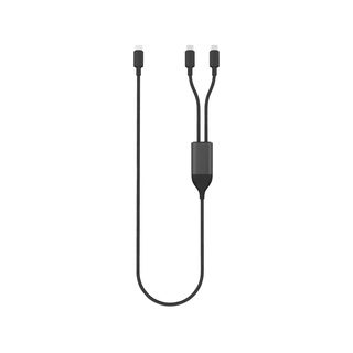 Terra 100W RCS-Kabel mit zwei USB-C-Ausgängen