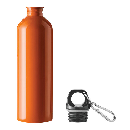 Trinkflasche STEELTRANSIT