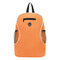 Rucksack TEC