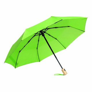 Vollautomatischer Windproof-Taschenschirm CALYPSO