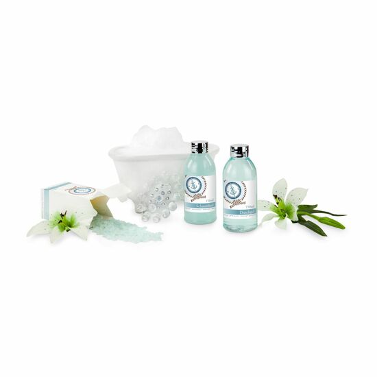150 ml Duschgel, 150 ml Schaumbad, 200 g Badesalz, Massagebürste aus Kunststoff in Keramik-Badewanne, Duft: Ocean