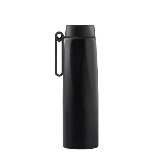 doppelwandige Edelstahlflasche mit Griff , stock